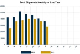 Graph of RVIA's report on monthly wholesale shipments through July of 2019.