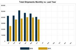 Graph of RVIA's report on monthly wholesale shipments through June of 2019.