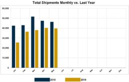 Graph of RVIA's report on monthly wholesale shipments through May of 2019.