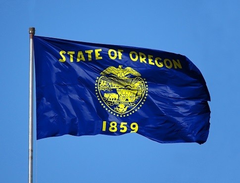 A picture of the Oregon flag flapping in the wind in front of a blue sky