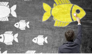 A picture of a person painting a yellow fish facing to the right on a chalk board covered in pictures of white fish facing to the left