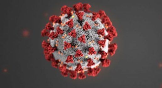 a picture of coronavirus as viewed through electron microscope