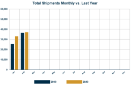 Graph of RVIA's report on monthly wholesale shipments through February of 2020