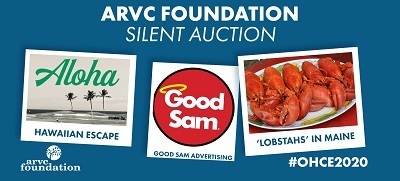 A picture of ARVC's silent auction advertisement