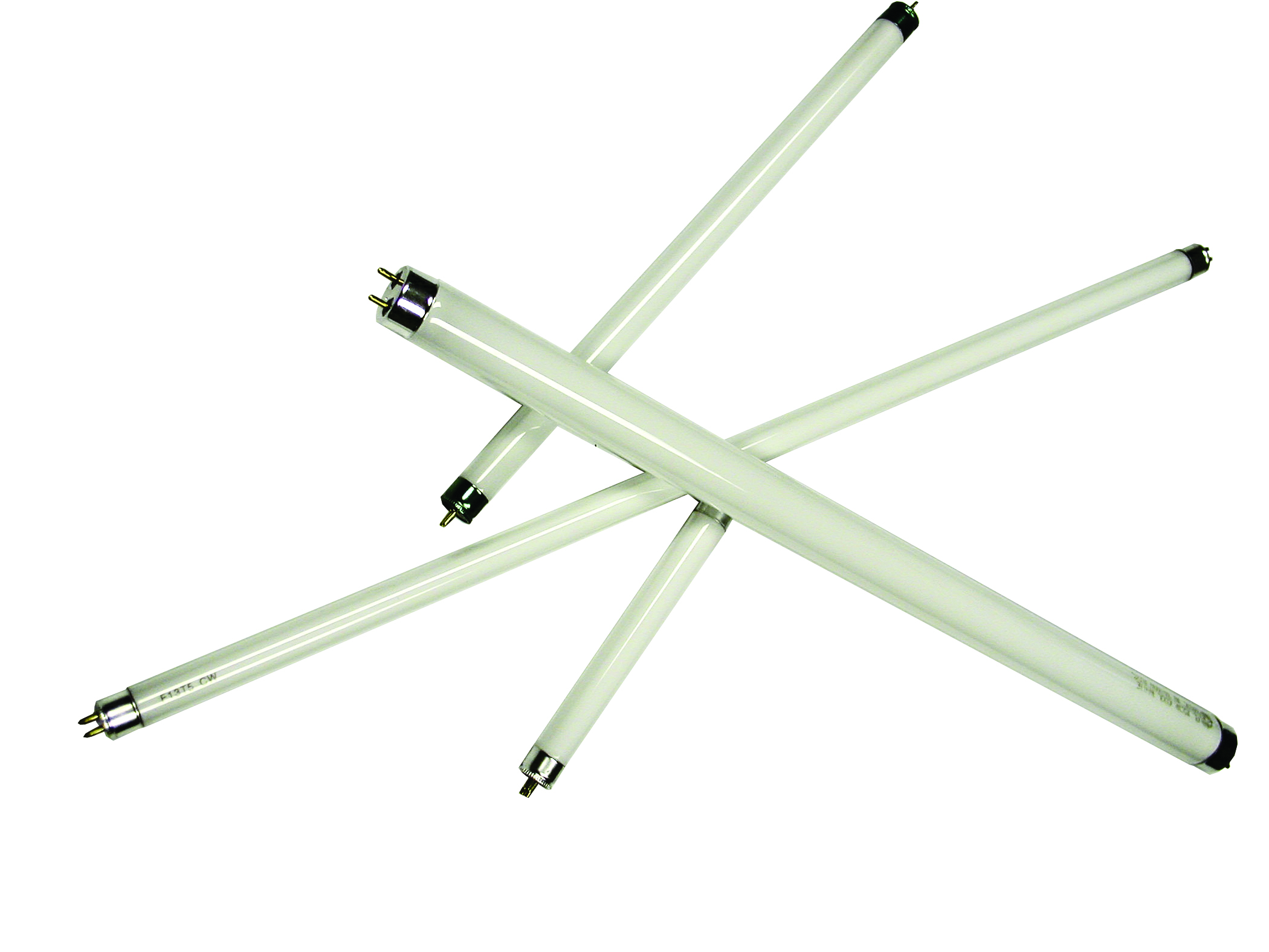 Bulb F15t8/cw 15 Watt 18″ RV News