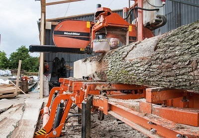 A stock picture of a man working at a lumber mill, putting lumber through a large saw.