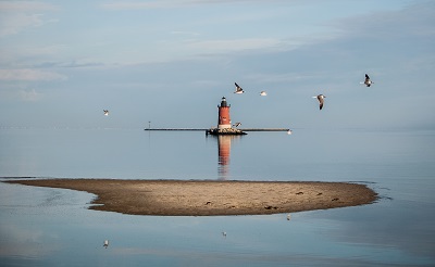 A picture of the lighthouse and gulls at Cape Henlopen State Park in Delaware