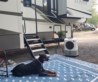 A picture of a Hessaire portable evaporative cooler outside with a dog