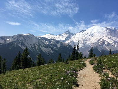 A picture of a path in Washington state with Mount Ranier in the background