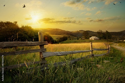 A picture of a rural community with a farm and a fence