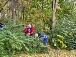 A picture of Truma volunteers working at High Dive Park.