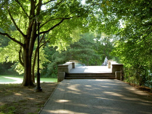 A picture of a bridge and a path in a park on a summer's day