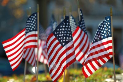 A picture of American flags stuck in a lawn in the sunshine