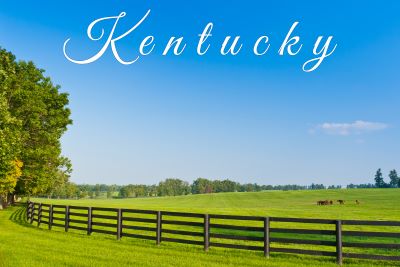 A picture of a green pasture with a fence in the foreground and horses behind the fence with an overlay of the word "Kentucky" in white script