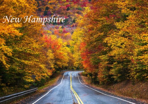 A picture of New Hampshire Fall foliage around a divided road