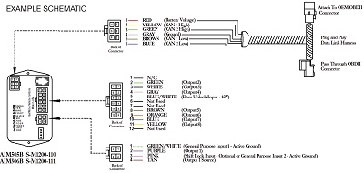 A picture of an AIM schematic