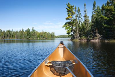 A picture of a canoe on a Minnesota lake surrounded by trees