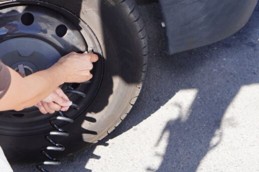 Standards Steering Committee